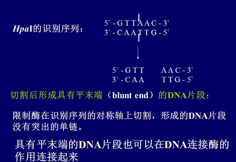 src-TVRZNMTY4NzUwMDgzNwaHR0cHM6Ly9maWxlMS5yZW5yZW5kb2MuY29tL2ZpbGVyb290Mi8yMDIwLTEvOC8wMTA4ODBkZS1kZGI4LTQxODQtYWIxNy0xMThlNGVhNjMxZmEvMDEwODgwZGUtZGRiOC00MTg0LWFiMTctMTE4ZTRlYTYzMWZhNS5naWY=.jpg