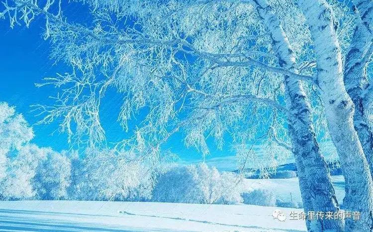 雪花纷飞是什么歌_雪花纷飞_雪花纷飞是成语吗