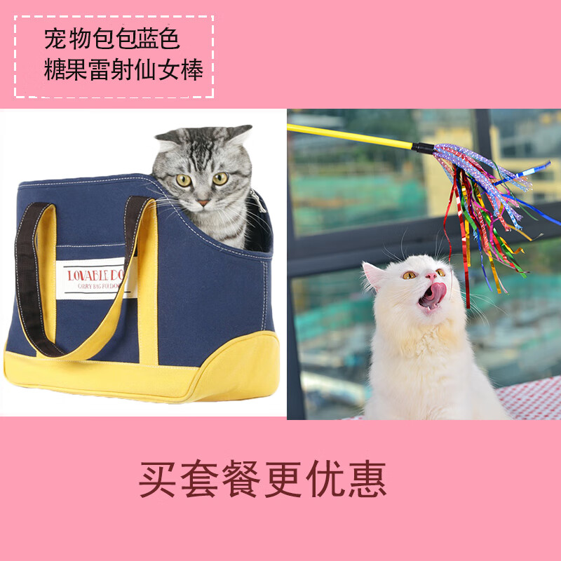宠物女孩2怎么玩_宠物女孩2 数据包_宠物女孩2数据包94m