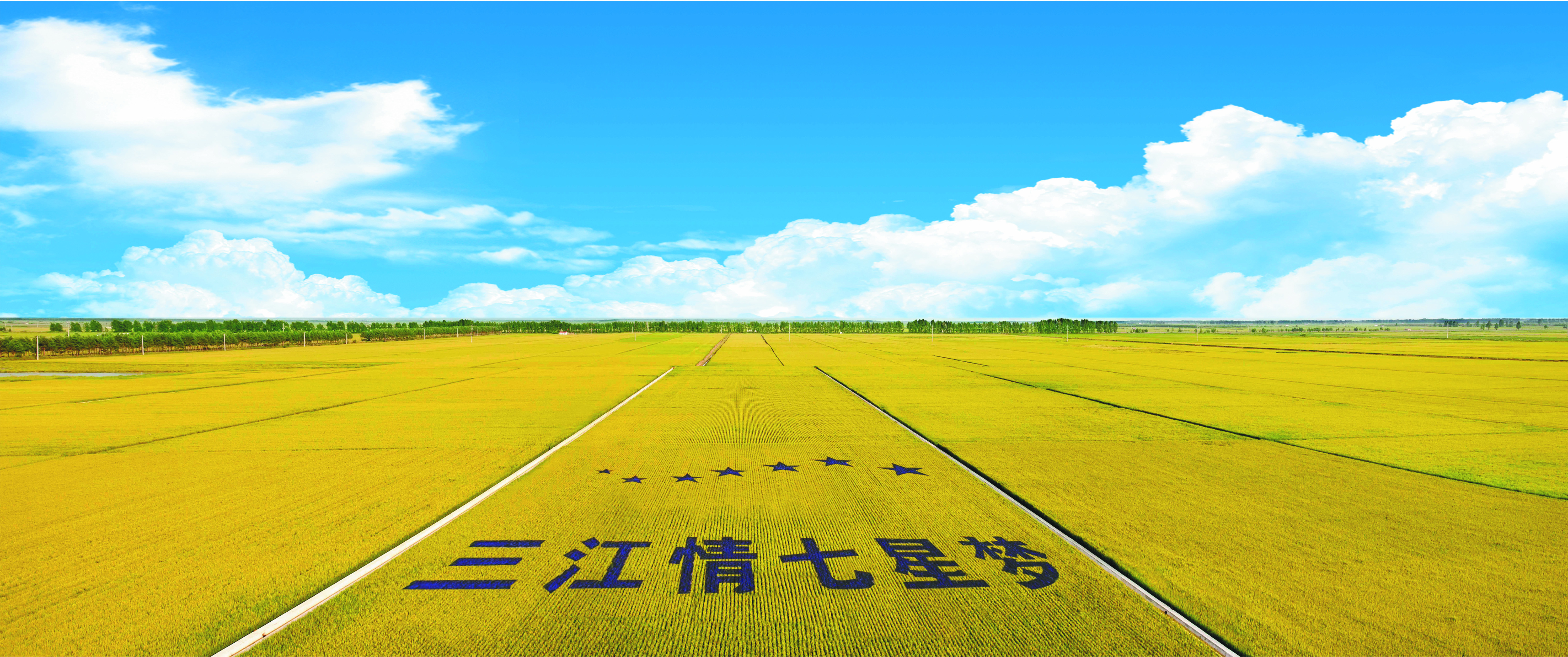 怀胎九月纪录片_九月怀胎_是怀胎十月还是怀胎九月