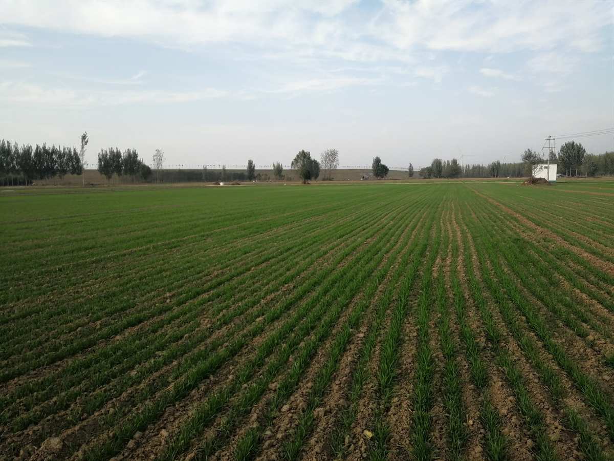 九月怀胎_是怀胎十月还是怀胎九月_怀胎九月纪录片