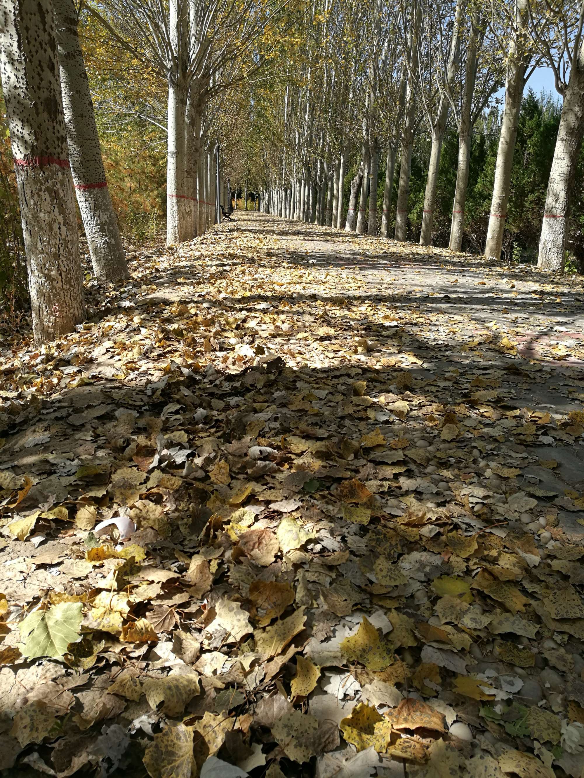 怀胎九月纪录片_是怀胎十月还是怀胎九月_九月怀胎