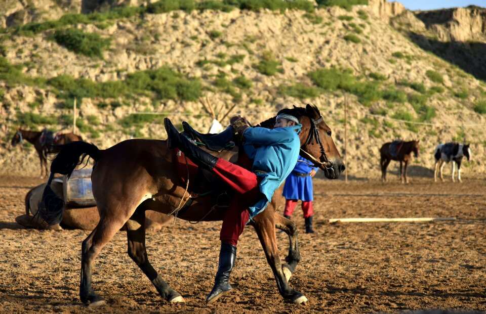 江南style骑马舞_骑马舞江南style舞蹈教学_骑马舞江南stylemv