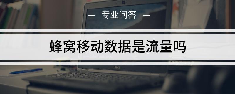手机流量查看技巧，流量不再神秘！