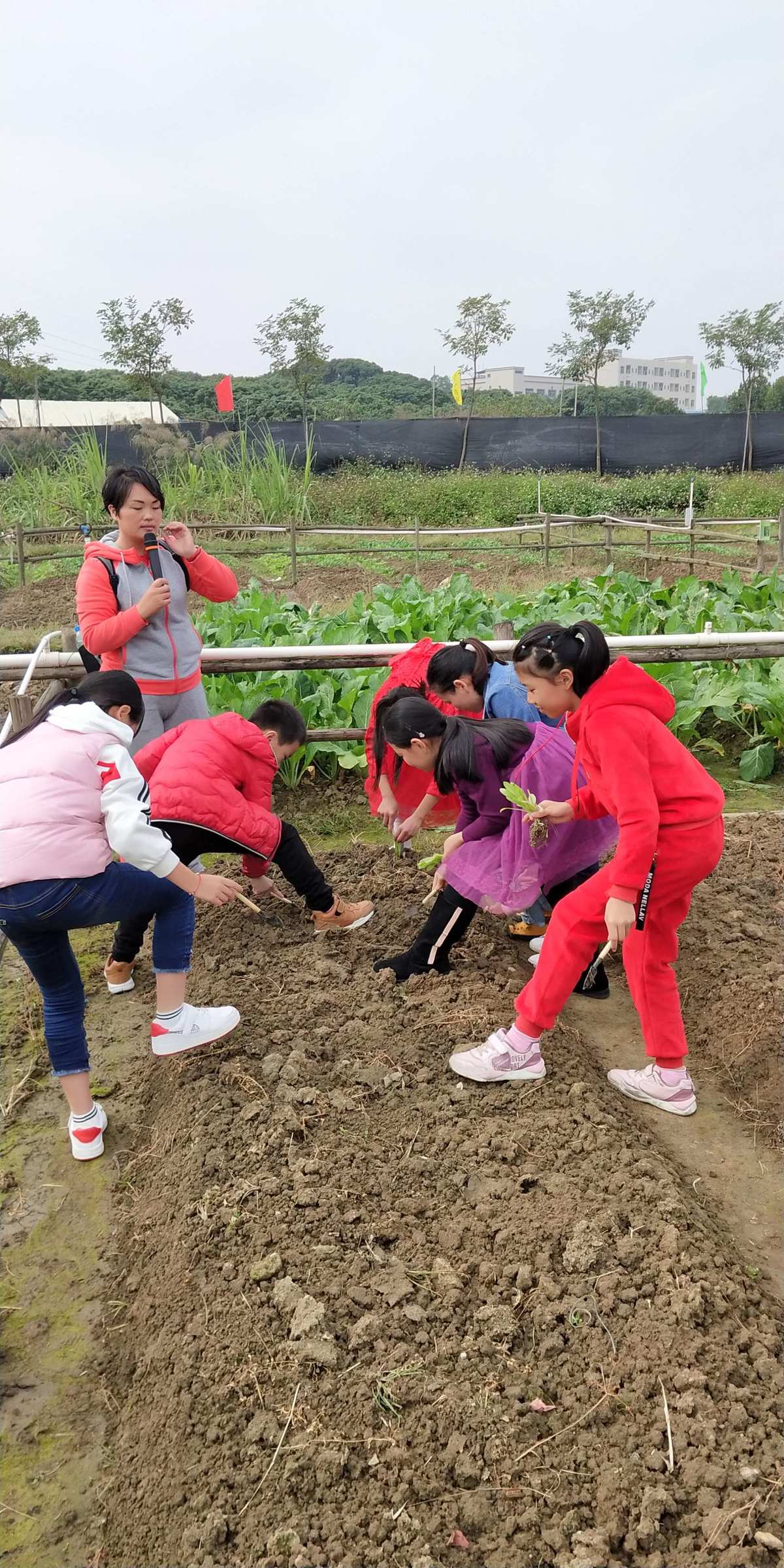 奇乐网：开心农场，尽享齐鲁农耕之乐