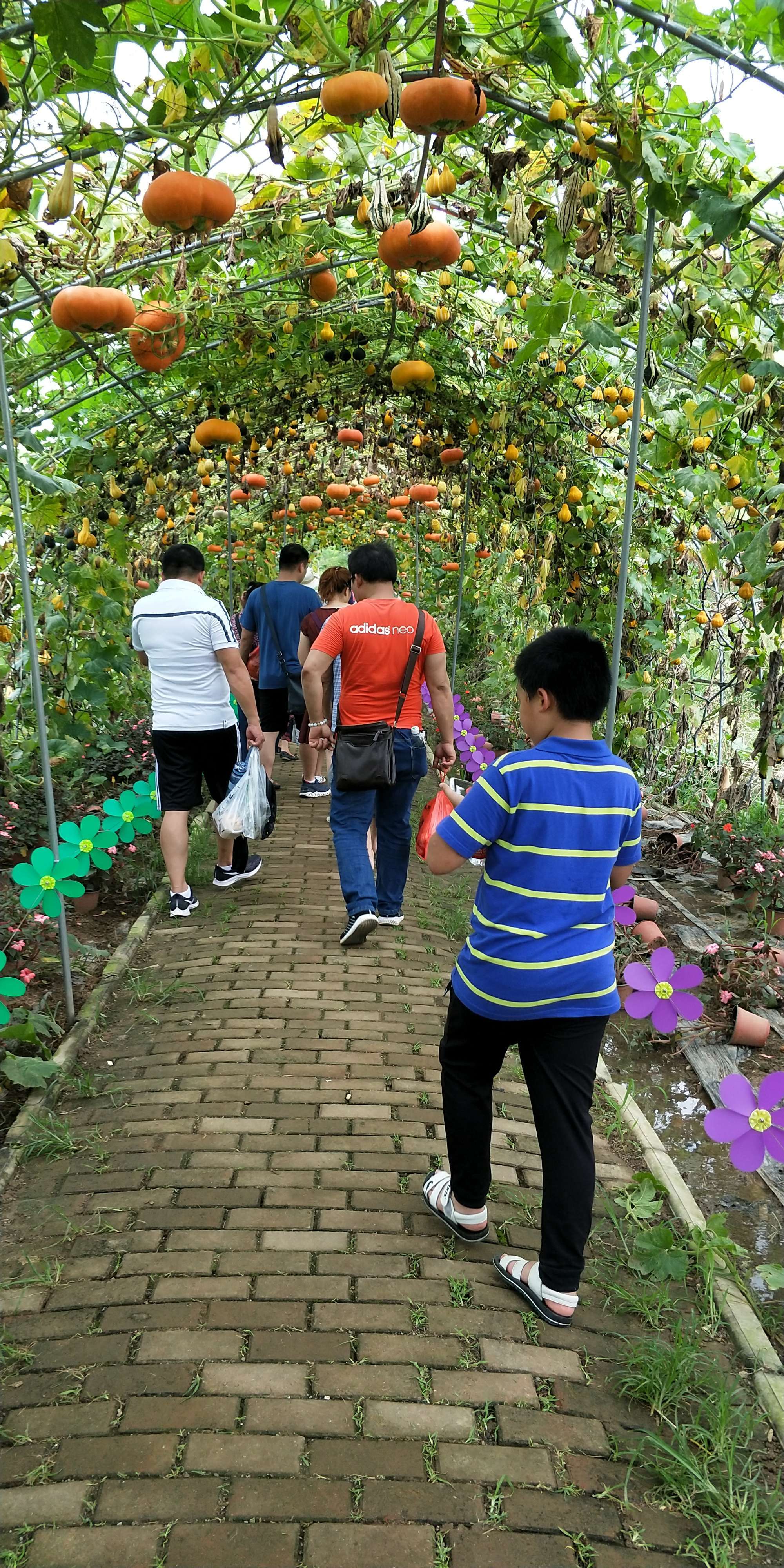 白领网开心农场_奇乐网齐鲁开心农场_农场开心农场游戏