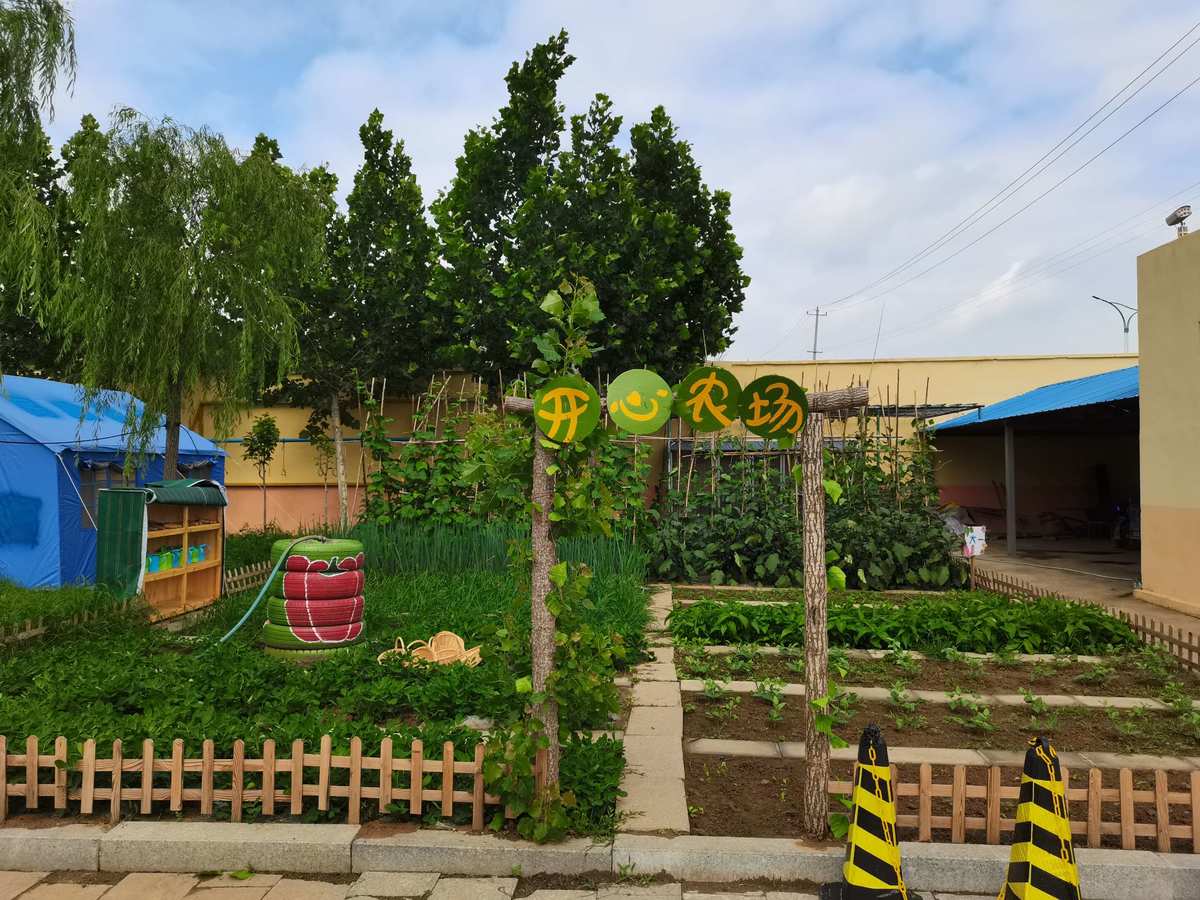 白领网开心农场_奇乐网齐鲁开心农场_农场开心农场游戏