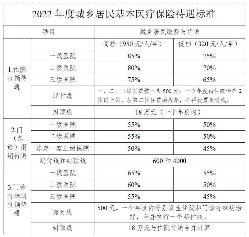 个人社保APP：便利高效的社会保障！