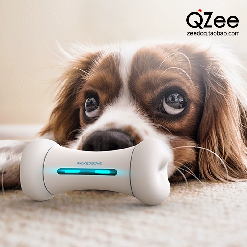 Q宠，手绘可爱宠物