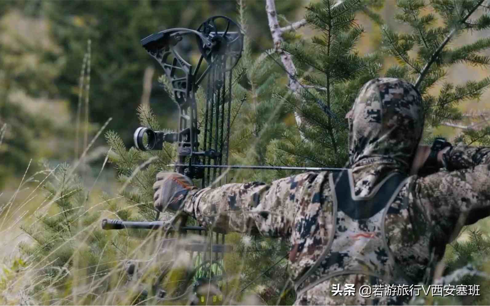 猎弓一般多少磅_弓猎_原神西风猎弓