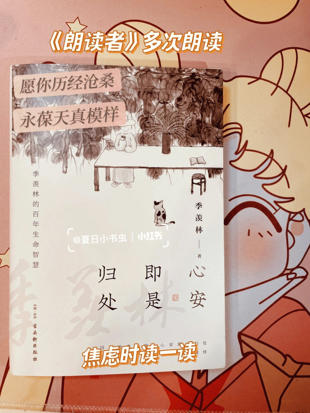 楼澈