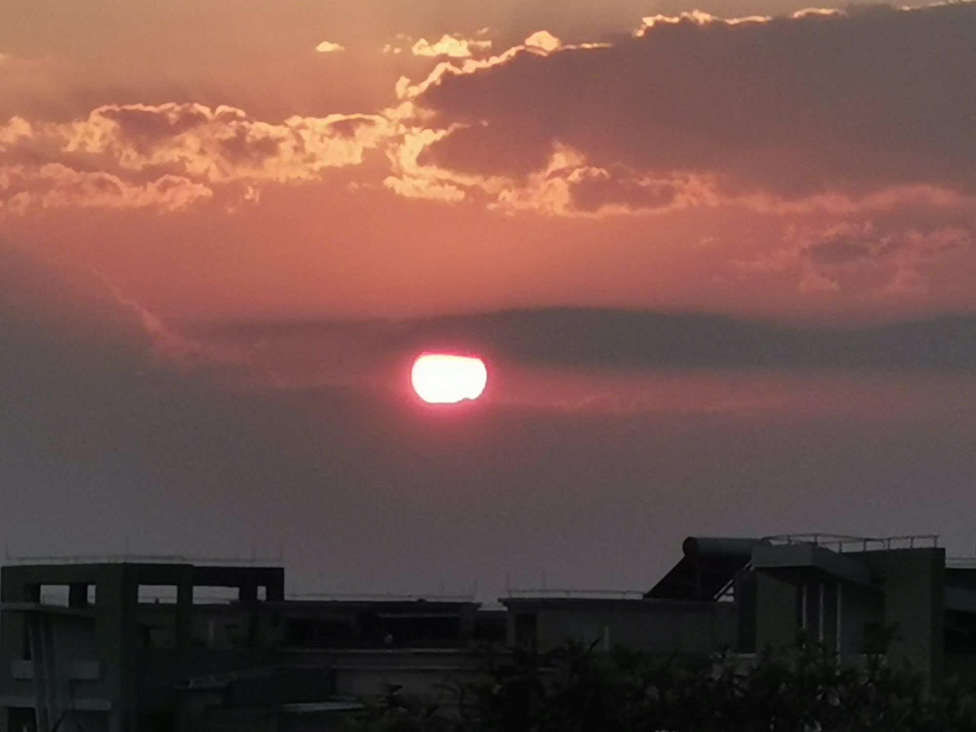 妲已