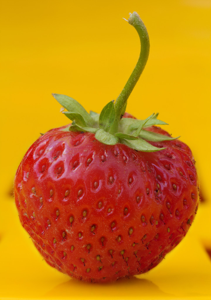 草莓视频app黄色_草莓视频app黄色_草莓视频app黄色