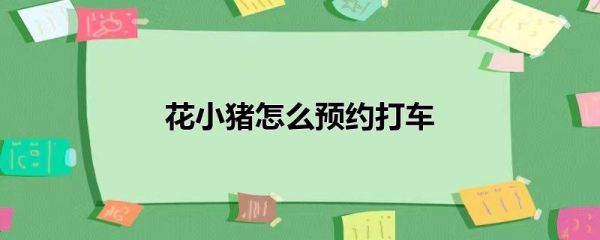 花小猪乘客怒怼！如何高效投诉不良司机？