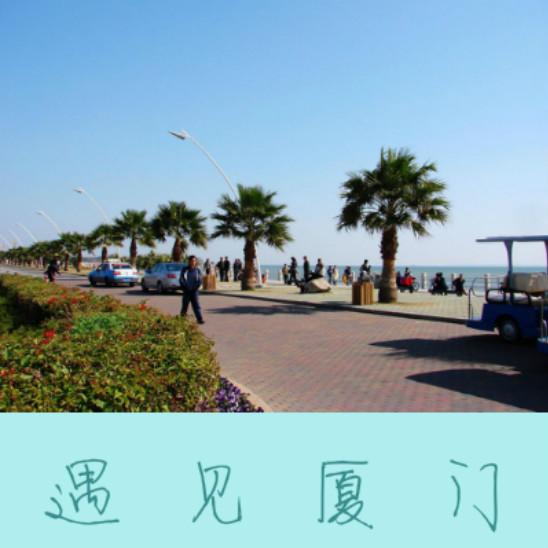 陌友大学生小慧，开启奇遇之旅