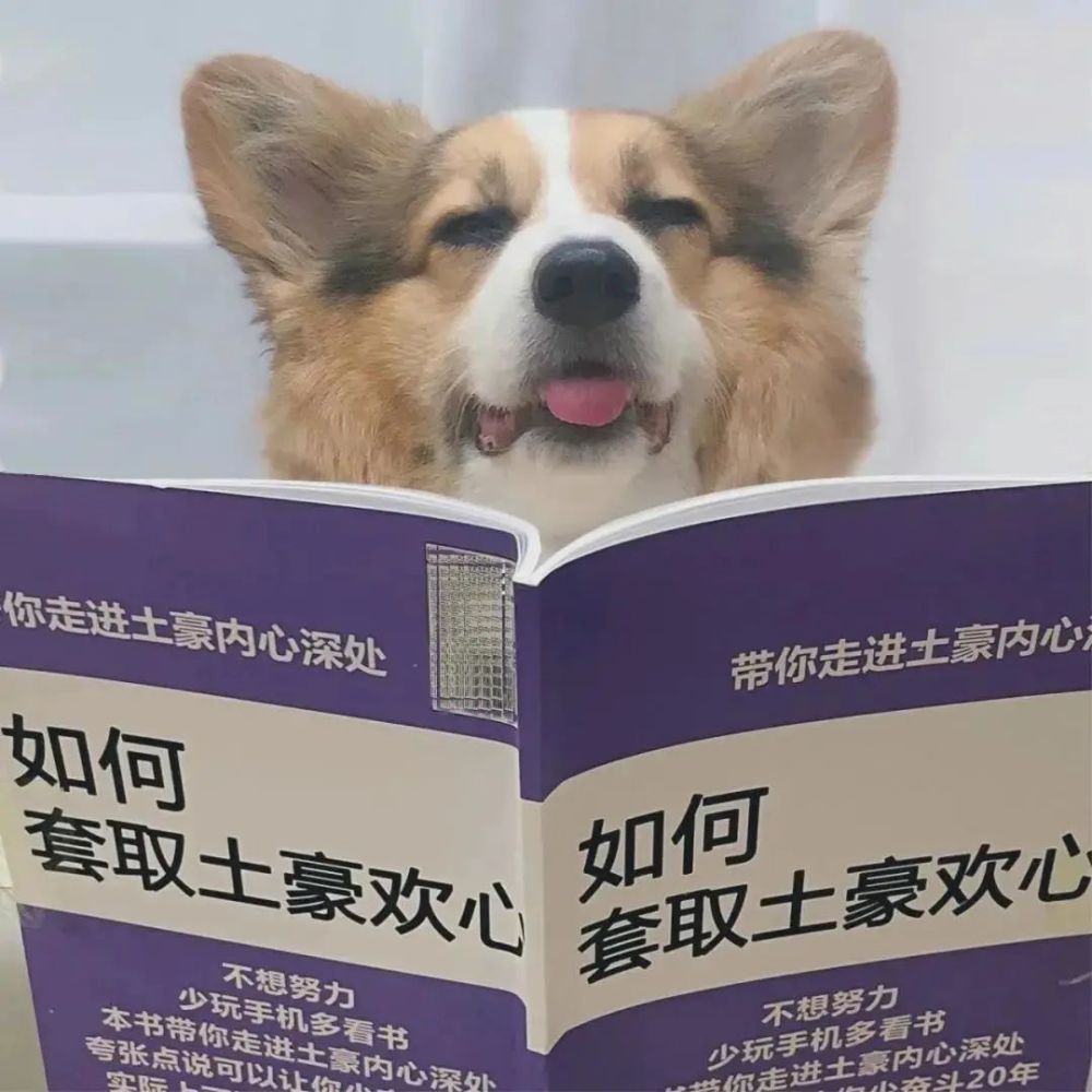 文案狗官网入口_文案狗_文案狗免费版