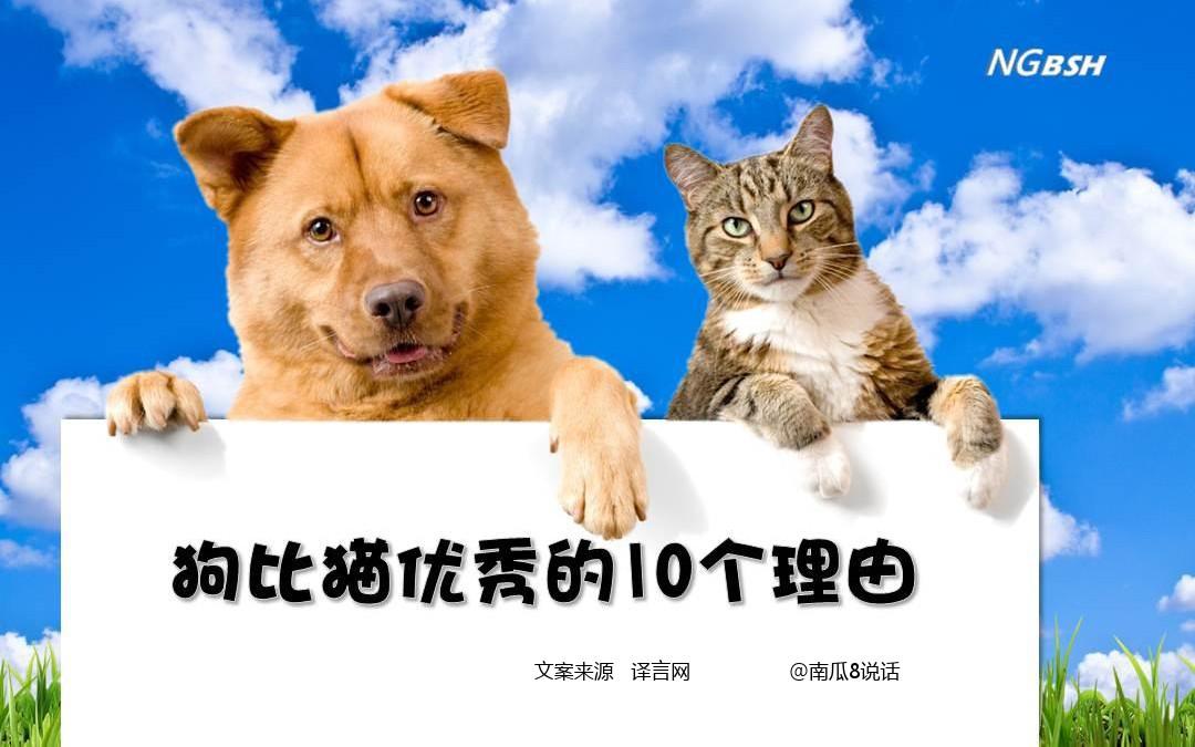 文案狗官网入口_文案狗免费版_文案狗