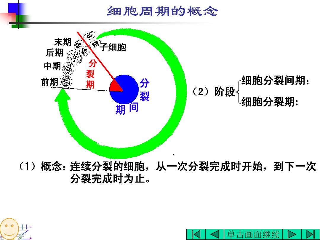 从细胞开始进化的小说_细胞分裂6_细胞多长时间分裂一次