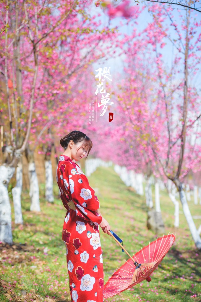 樱花动漫动画下载_樱花动漫动画_樱花动漫动画推荐