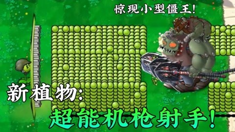 植物大战僵尸原版中文_植物大战僵尸原版中文_植物大战僵尸原版中文