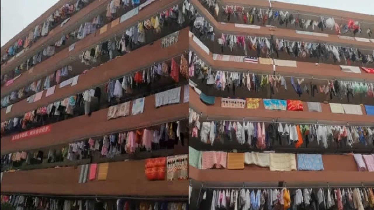 女生宿舍偷窥小游戏_女生宿舍玩游戏_宿舍游戏推荐女生
