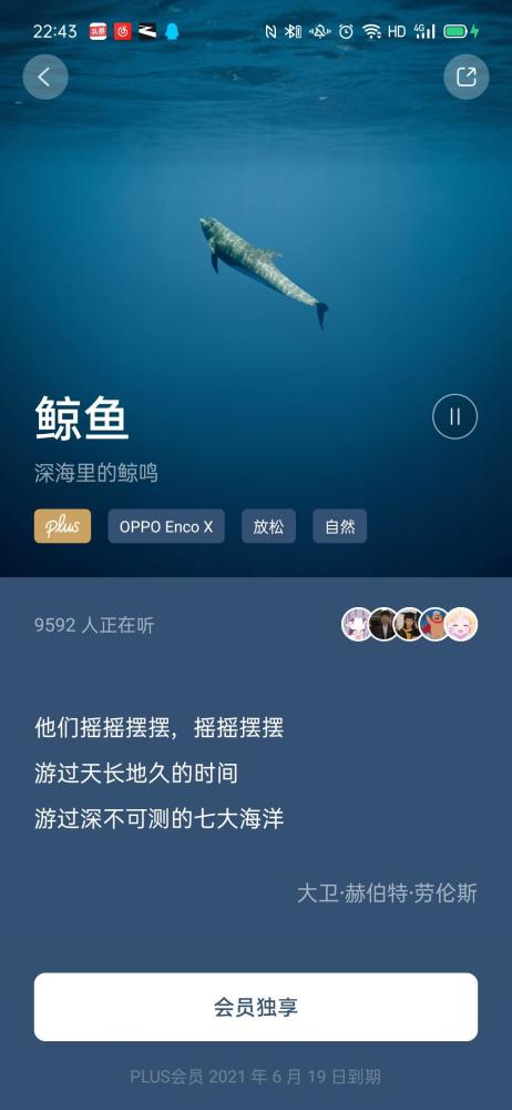 鲸云音效环境音效_鲸云音效推荐_鲸云音效