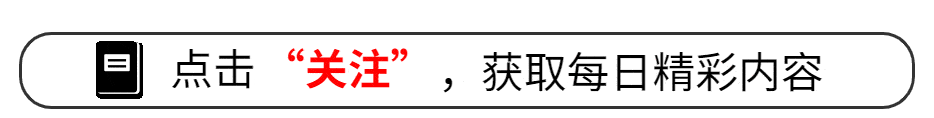 叫你不听话中文版：免费下载，揭开真实自我