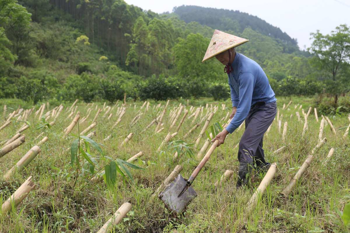 松平忠吉_松平忠辉_松平忠直