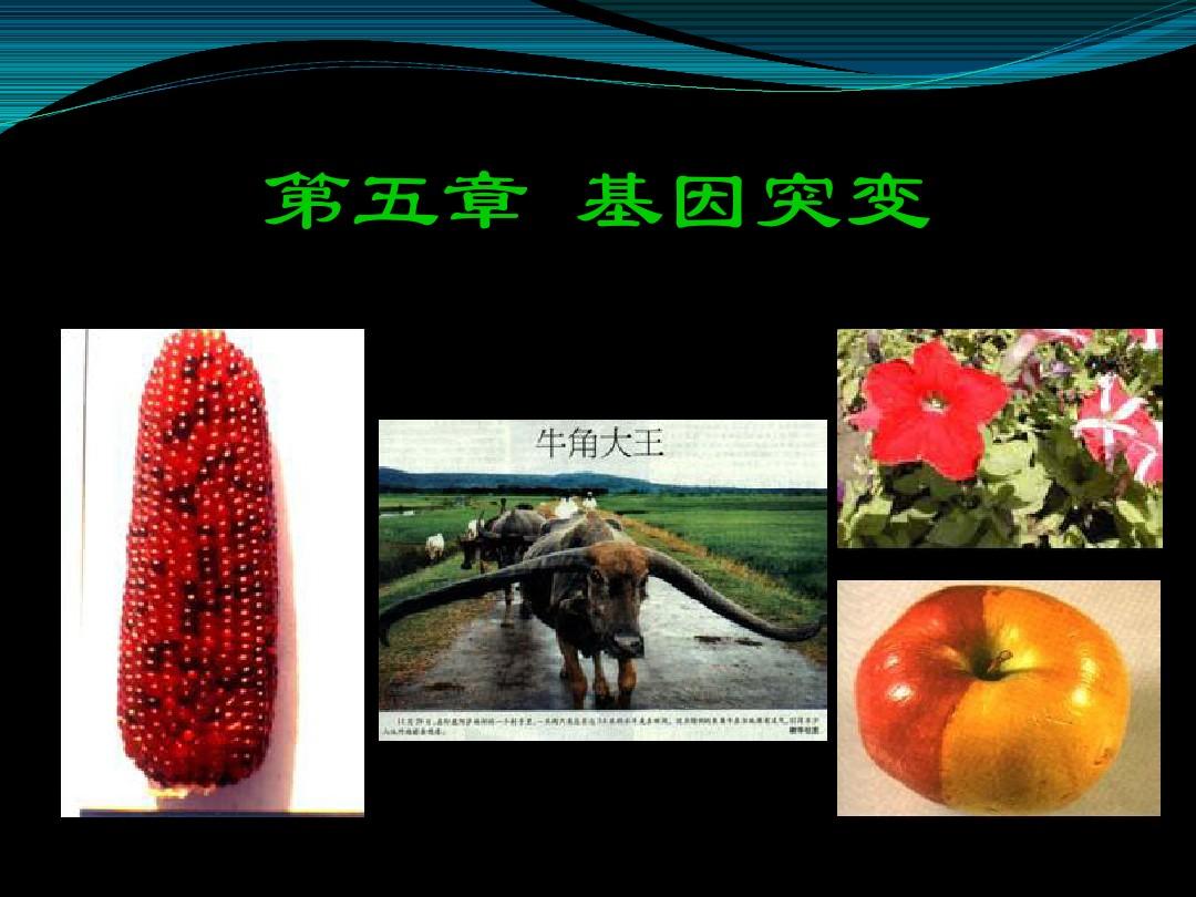 诱变剂_诱变剂_诱变剂