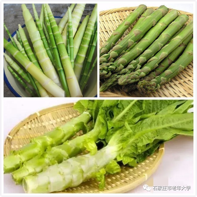 夺笋高手破解版免广告_夺笋高手_夺笋高手破解版
