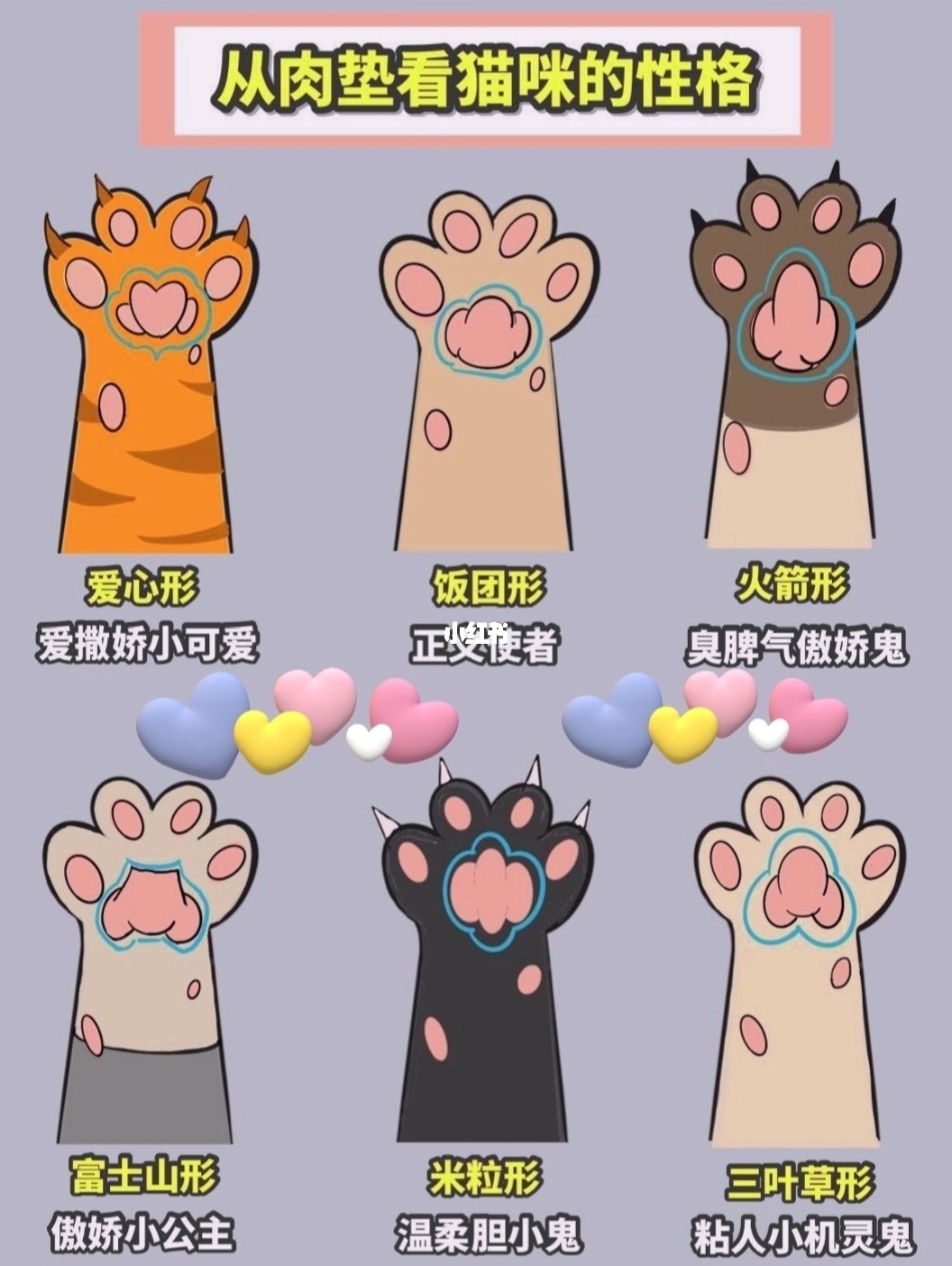 爪喵大王_爪喵语符号_喵爪