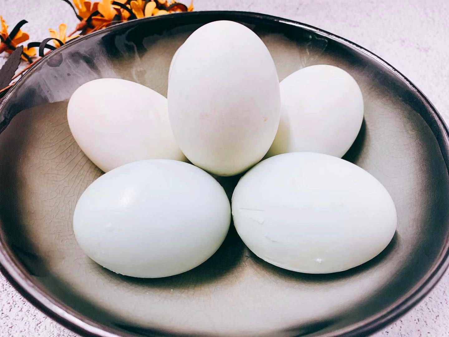 咸蛋家_咸蛋家_咸蛋家