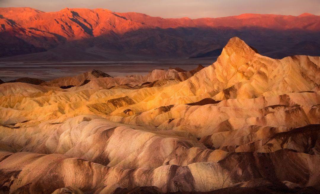 元素大陆_元素大陆小说_元素大陆阵容