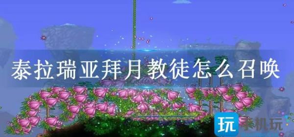 拜月教主_拜月教主经典语录_拜月教