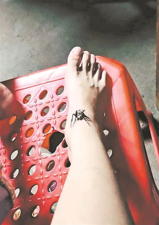 下载恐怖奶奶_下载恐怖奶奶_下载恐怖奶奶