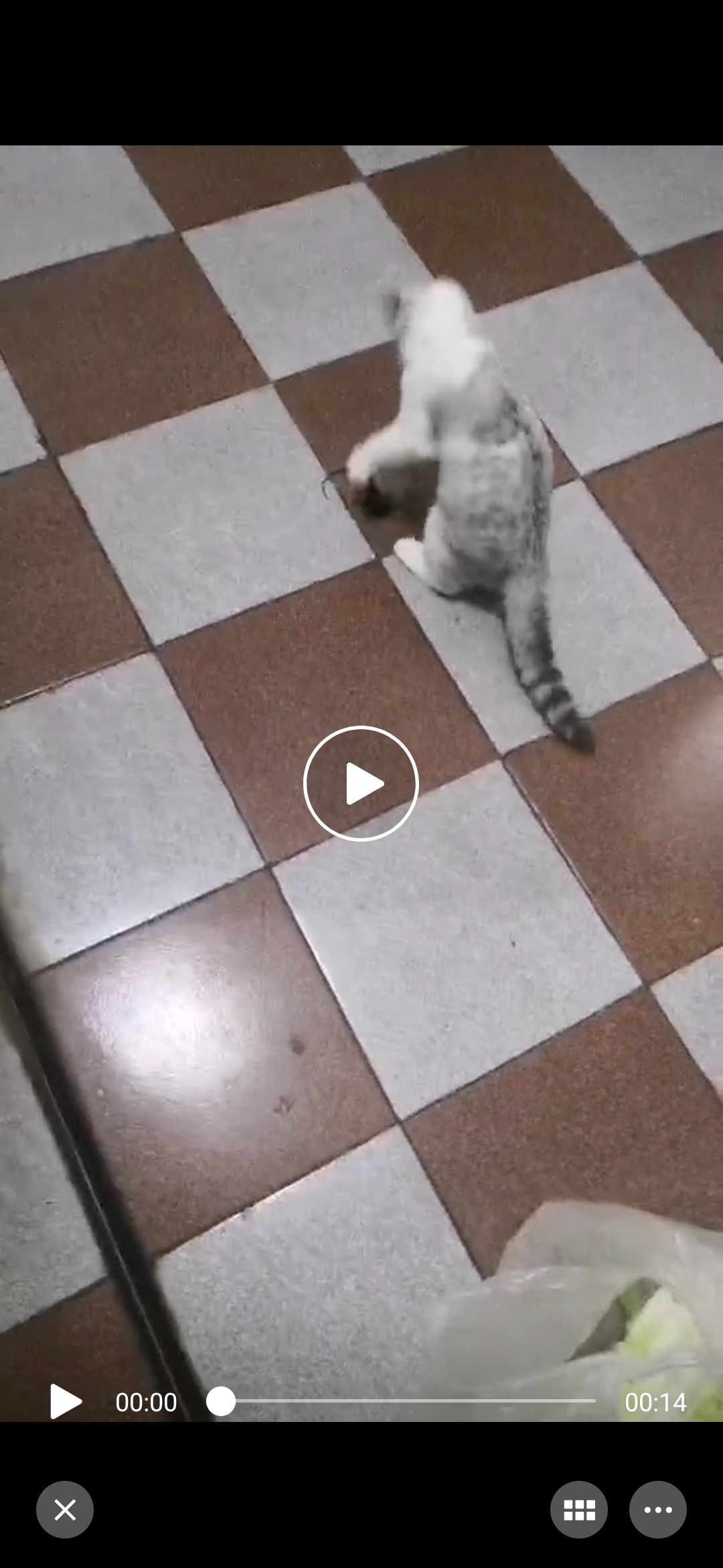 躲猫猫游戏_躲猫猫游戏怎么玩_躲猫猫游戏csgo