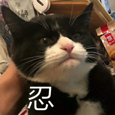 收的表情_收手吧阿祖表情包_表情包收手吧阿祖