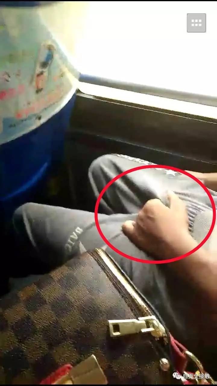 希佩尔-机智对话机器人：初次见面，人类惊讶不已