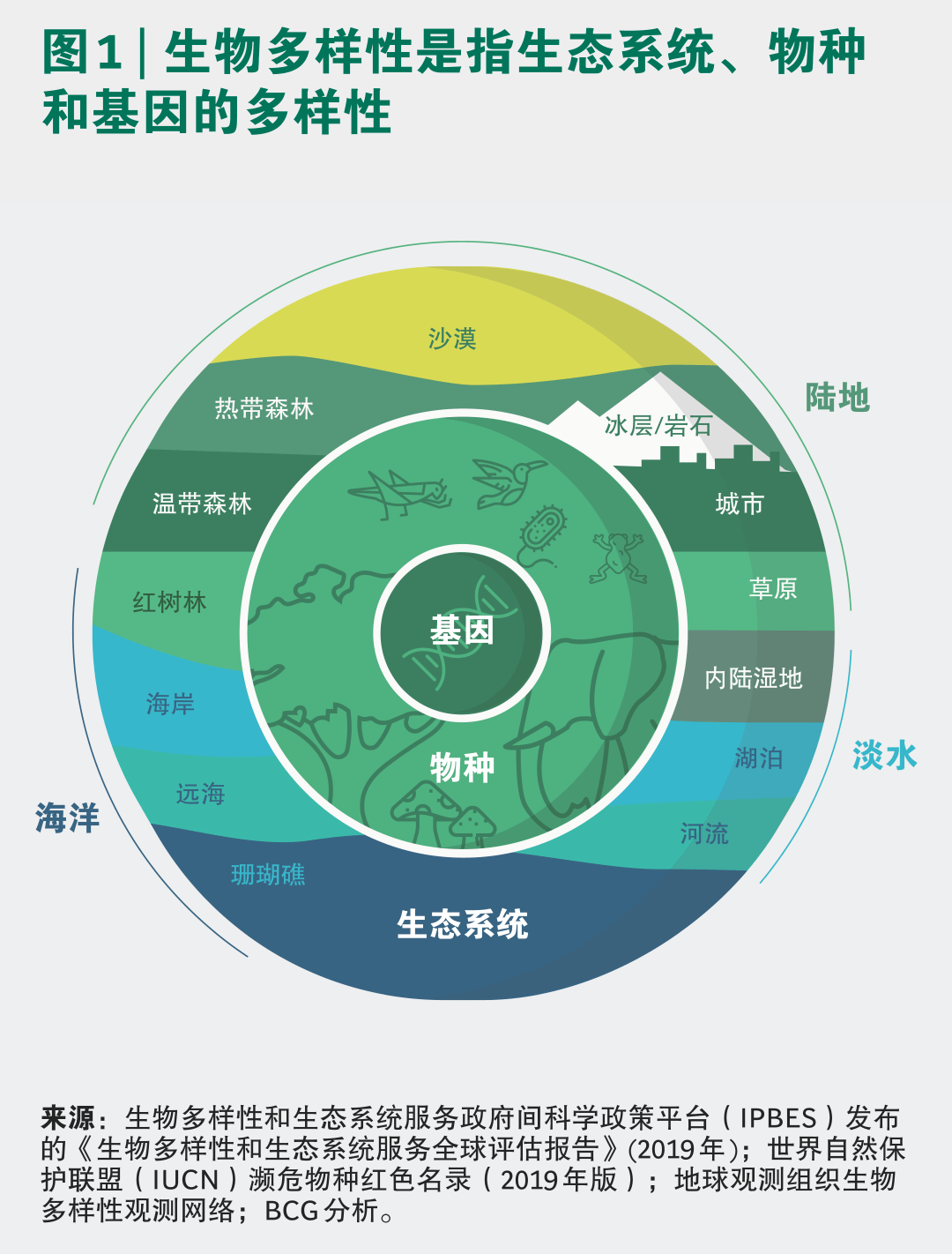 生态系统的基石_生态系统基质_生态基石是什么