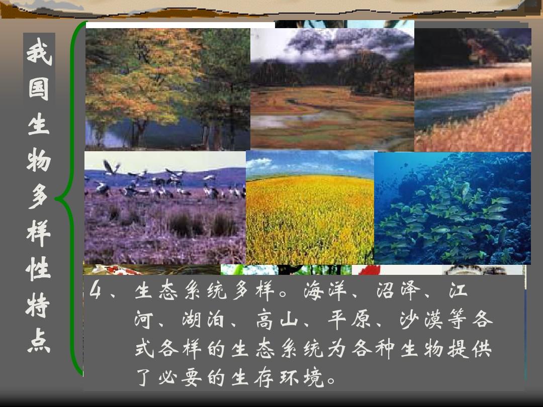 生态基石是什么_生态系统基质_生态系统的基石