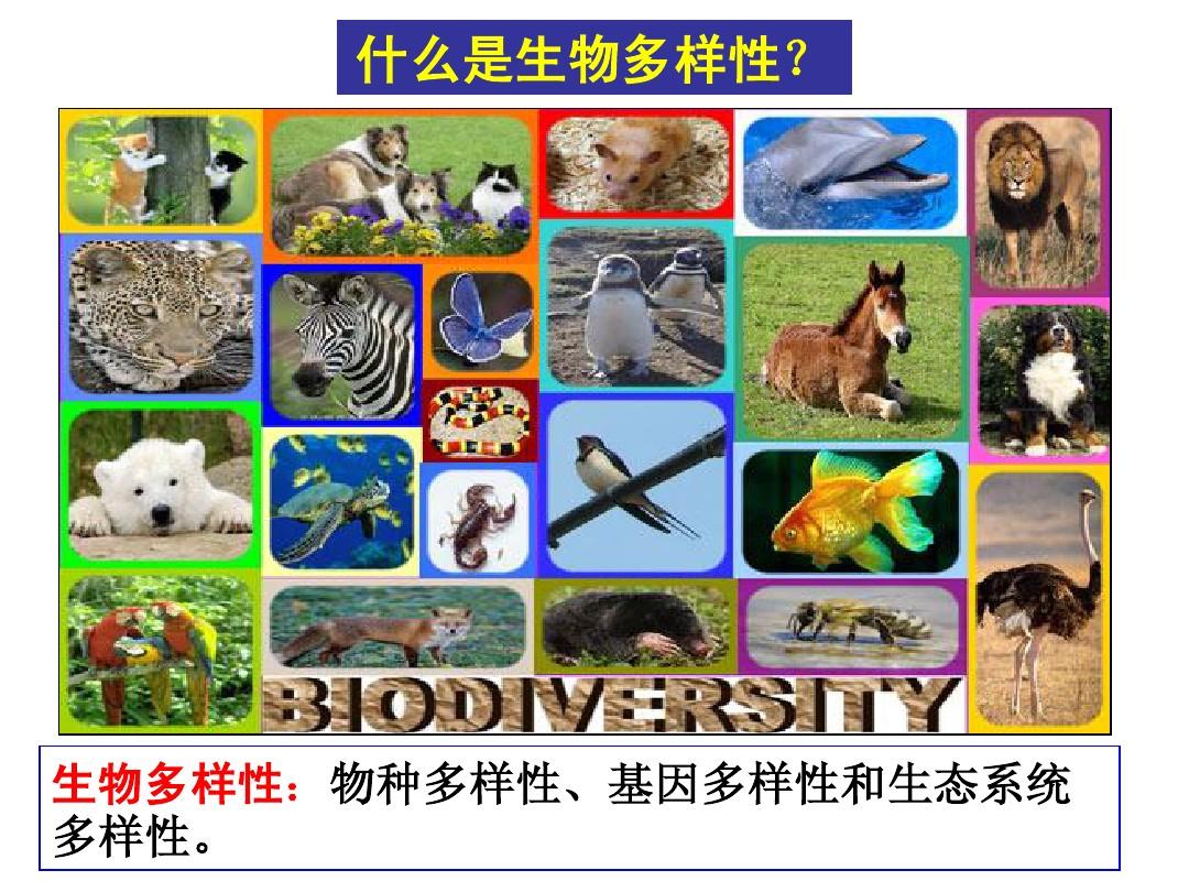 生态基石是什么_生态系统基质_生态系统的基石