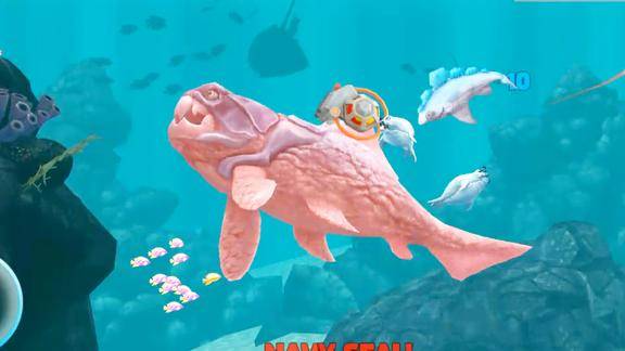 鲨滩女主角死了没_鲨滩_鲨滩绝鲨岛