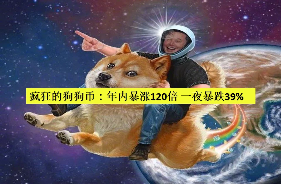 狗狗币行情今日行情_狗狗币实时行情_狗狗币实时行情走势