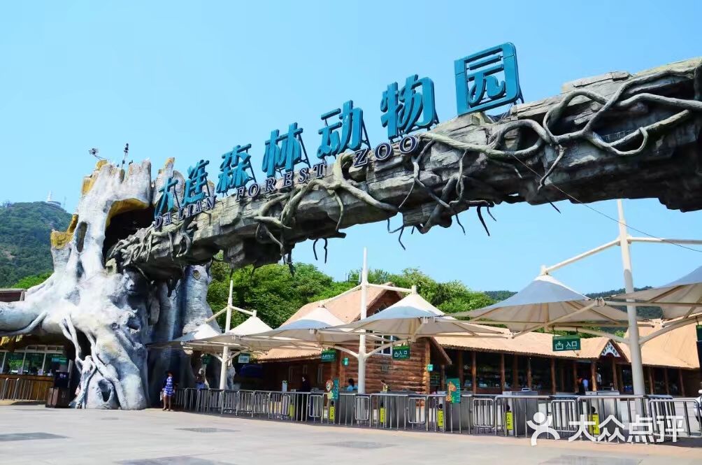 电脑动物园游戏下载手机版-【必玩攻略】电脑动物园游戏手机版，