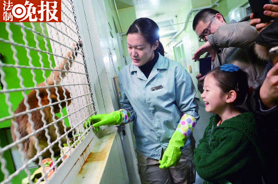 电脑动物园游戏下载手机版_动物园的电脑游戏_动物园单机