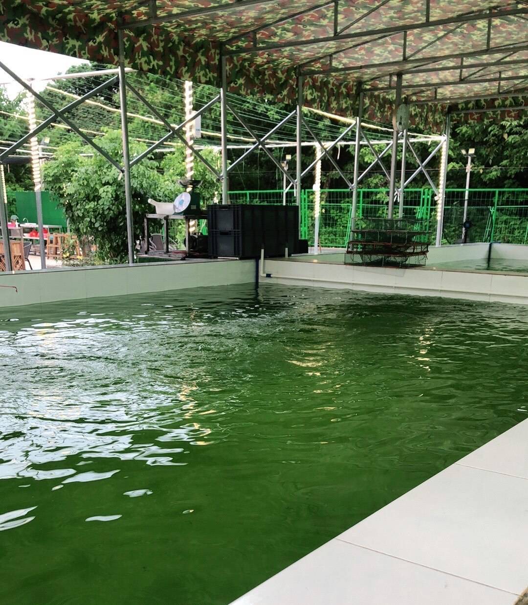 最好的钓鱼手游_钓鱼手机游戏排行榜推荐_钓鱼排行榜app