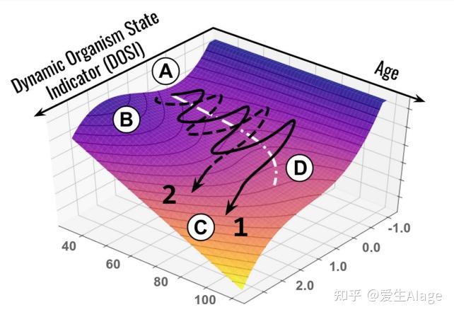 硬盘哨兵寿命准吗_硬盘哨兵可以修复坏道吗_硬盘哨兵