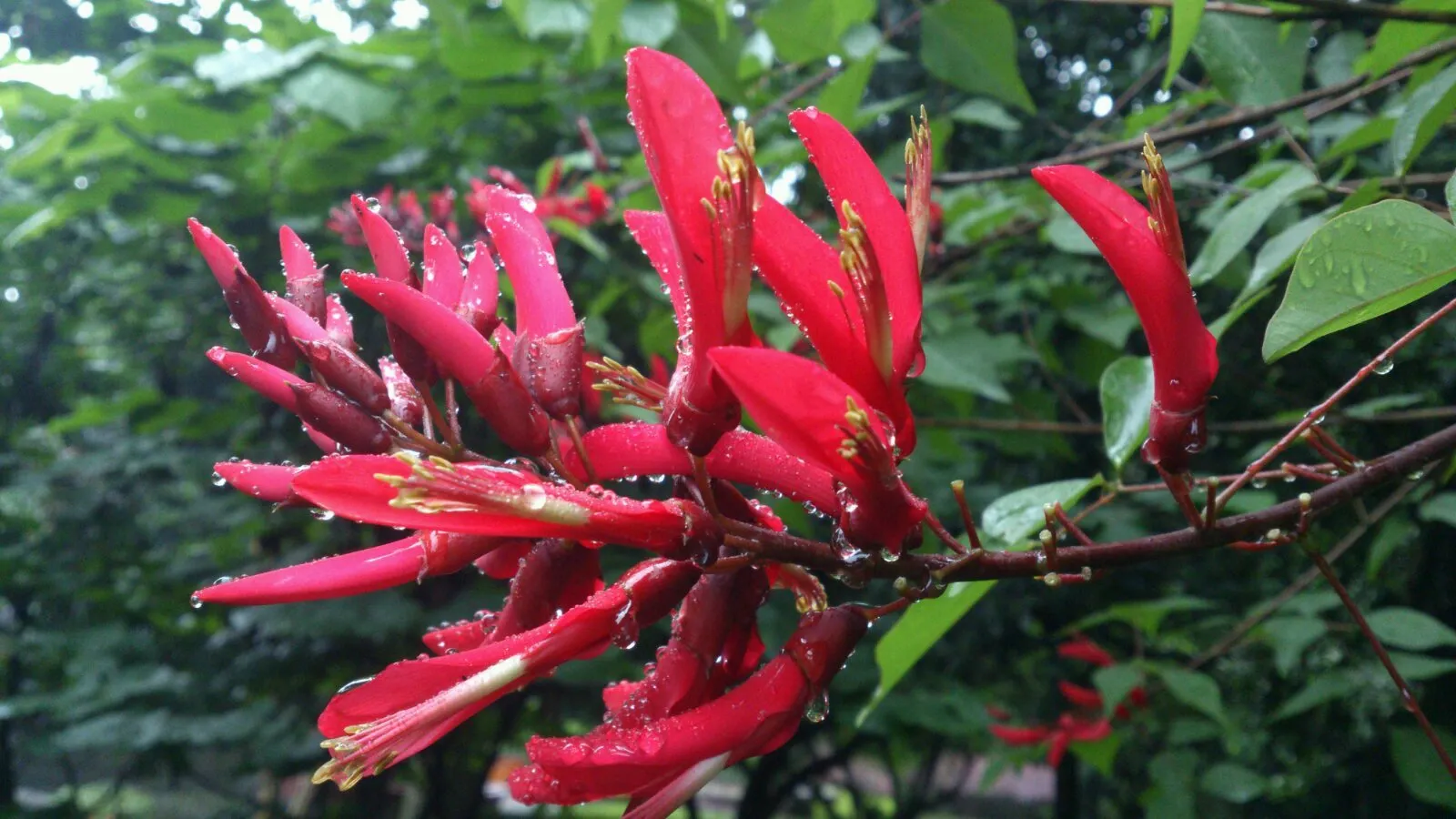 乐正龙牙：全方位保健，提高免疫力、改善睡眠质量