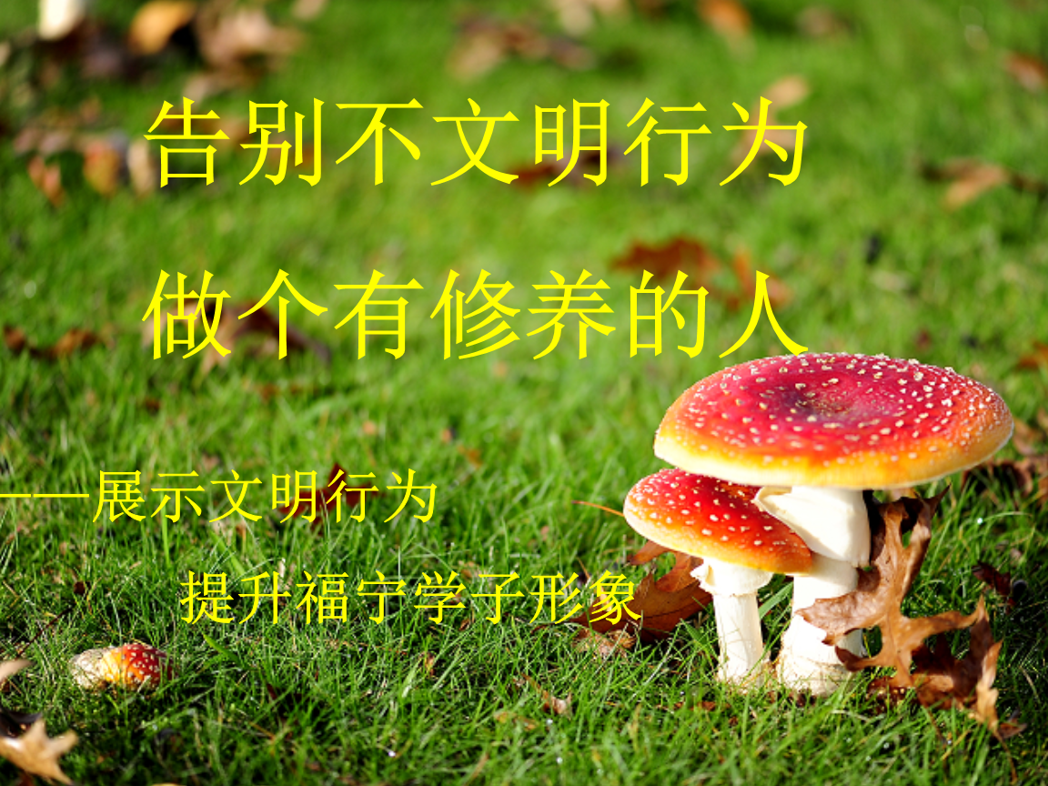 手机游戏反向操作_反手机游戏海报_《反》手机游戏