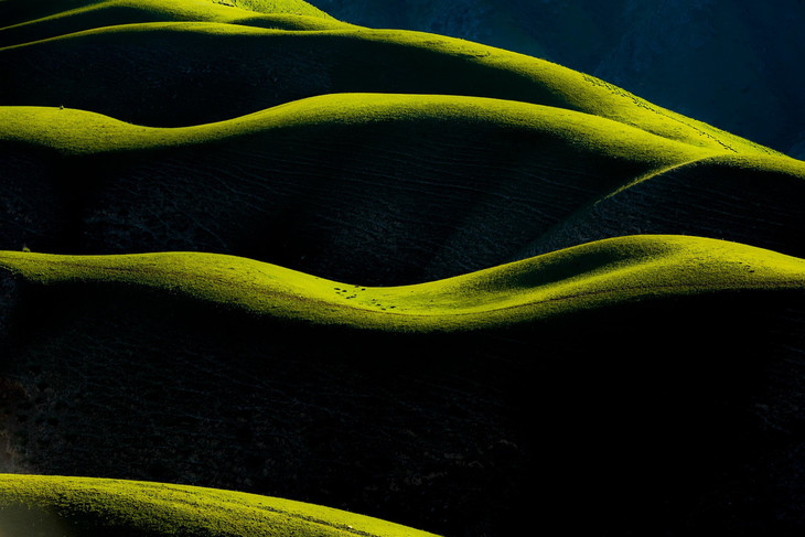 草原游戏_适合草原玩的游戏_草原小游戏手机